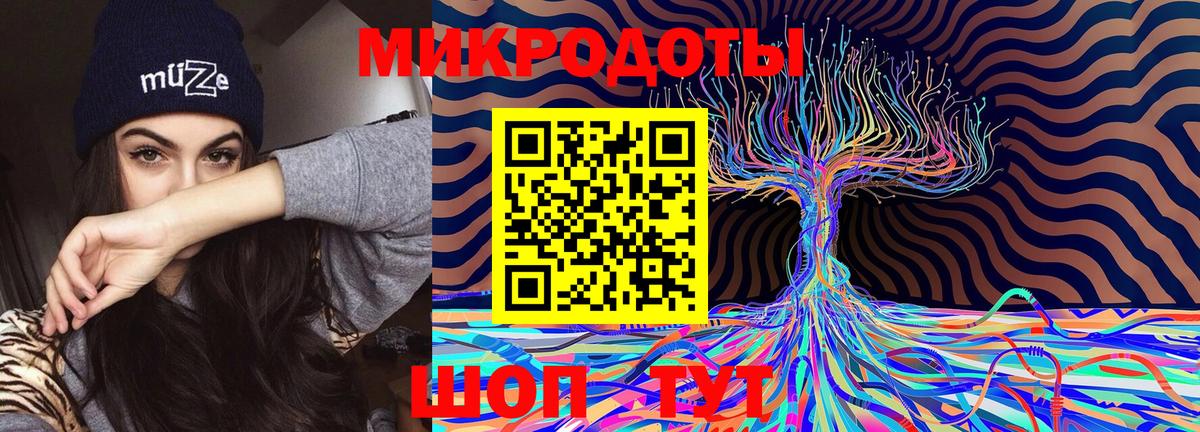 Псилоцибиновые грибы мицелий Кисловодск